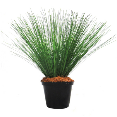 The River Reeddance Plant is a stunning addition to any space with its thousands of delicate, fluffy seed heads and rich green color. Firmly potted in a weighted container and surrounded by natural fibers, this plant adds a touch of nature to any room. With its extremely natural appearance, it is sure to please any plant lover-UNIQUE INTERIORS